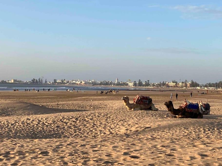 Dar Aya Essaouira Apartment Екстериор снимка