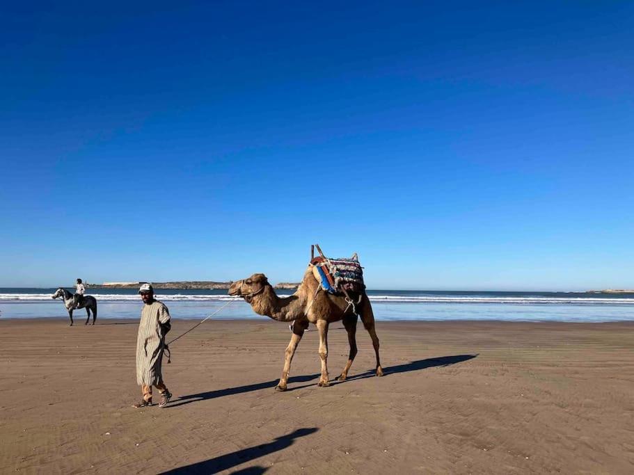 Dar Aya Essaouira Apartment Екстериор снимка